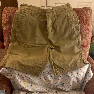 American Eagle Longboard Shorts